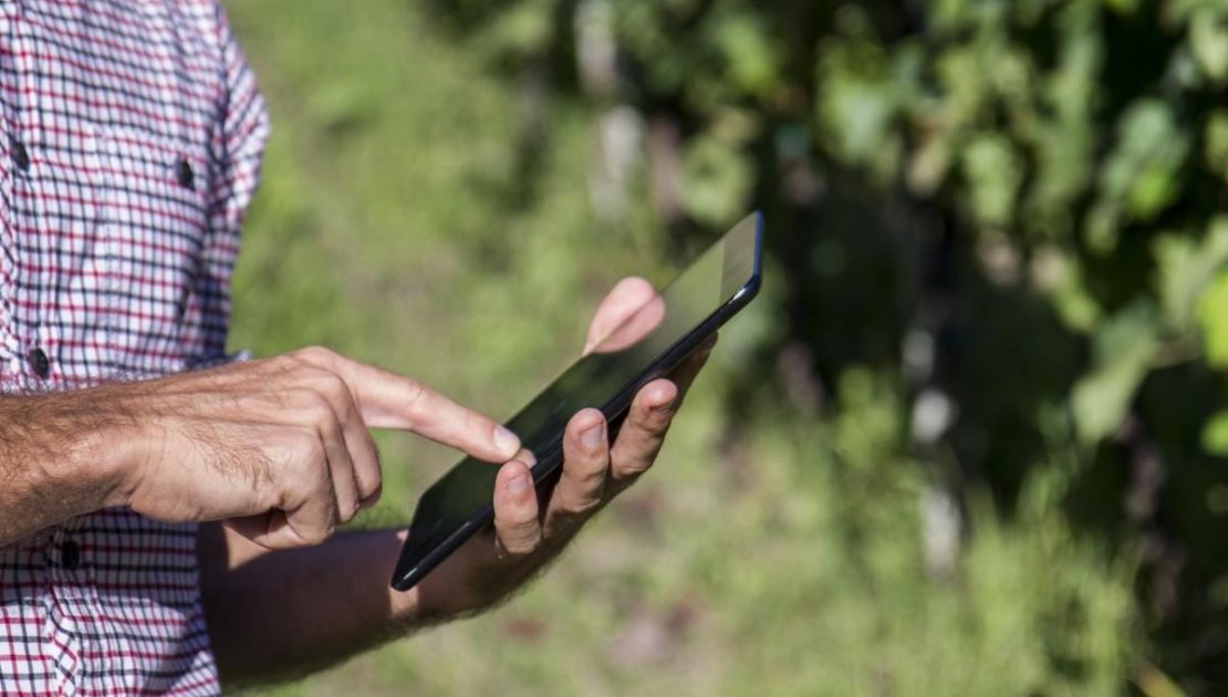 Transformación digital en la agricultura: qué es y cómo beneficia al sector