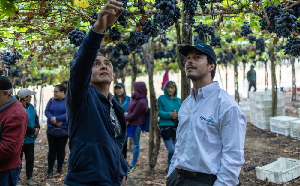 ley 40 horas en la industria agrícola